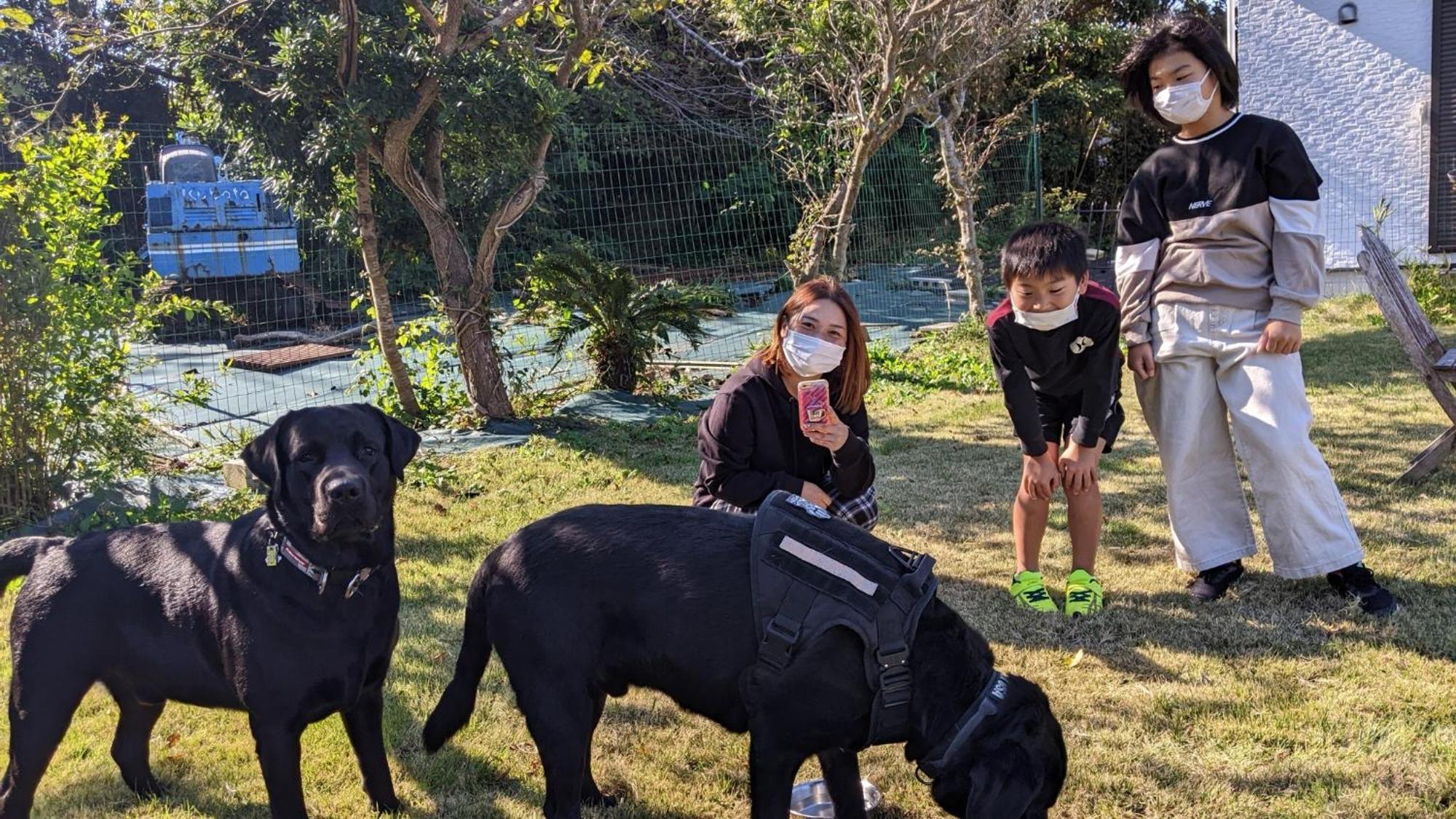 Pension Alba - Vacation Stay 70965V Tateyama  Eksteriør billede