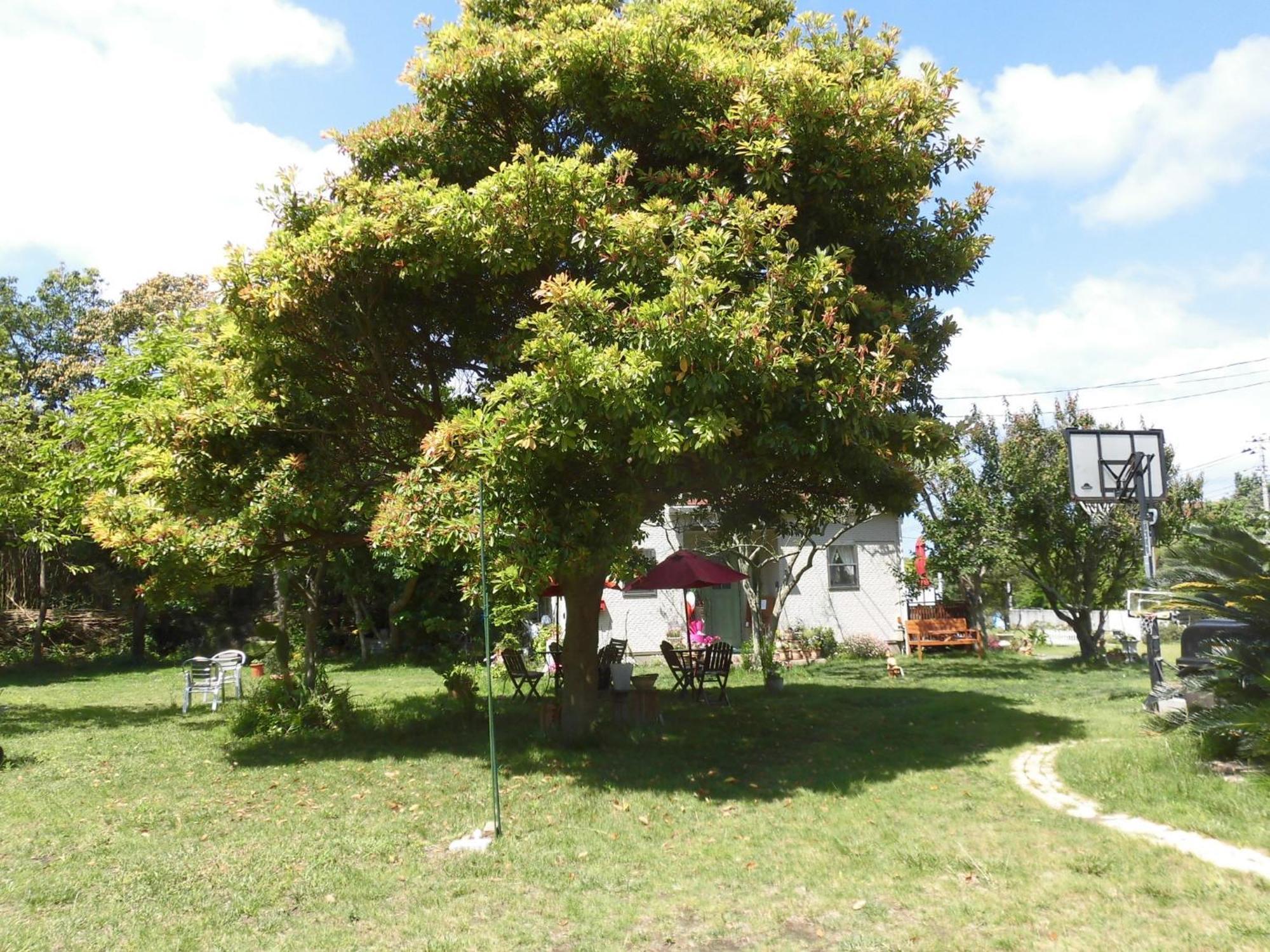 Pension Alba - Vacation Stay 70965V Tateyama  Eksteriør billede